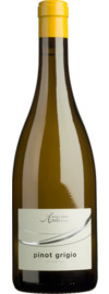 2025 Cantina Andrian Pinot Grigio