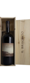 2024 Il Bruciato