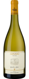 2024 Cervaro della Sala
