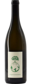 2022 Werlitsch Dreigenerationenwein Bio