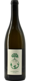 2023 Werlitsch Sauvignon Blanc Vom Opok Bio