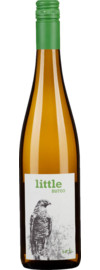 2022 Gindl Little Buteo Bio