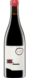 2022 Beck Pinot Noir Bambule! Bio