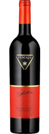 2024 Pescaja Soliter Barbera d'Asti