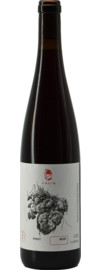 2022 Marto Wines Pinot Noir