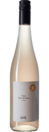 2023 Winzerhof Ebringen Pinot Blanc de Noirs