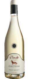 2025 Collavini Pinot Grigio