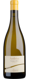 2024 Andrius Sauvignon
