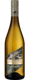 2025 Grüner Veltliner Alte Reben Premium