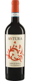 2022 Maggio Vini Nero d'Avola Antura Bio