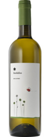 2024 Roccafiore Fiordaliso Bianco