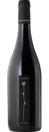2021 Roccafiore Il Roccafiore