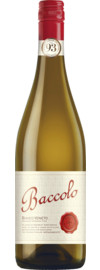 2024 Cielo et Tierra Baccolo Bianco
