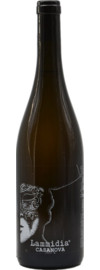 2022 Lammidia Casanova Bianco Bio