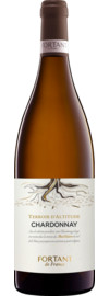 2024 Terroir d'Altitude Chardonnay
