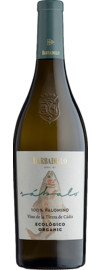 2023 Bodegas Barbadillo Sábalo Blanco