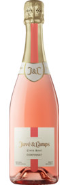 2023 Juvé & Camps Cinta Rosé  Pinot Noir