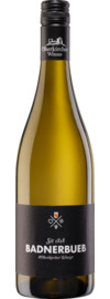 2025 Oberkircher Badnerbueb Weißwein Cuvée