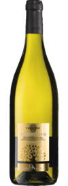 2025 Verdicchio dei Castelli di Jesi Classico
