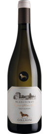 2025 Blancfumat Sauvignon Blanc