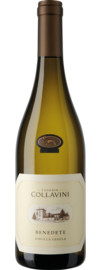 2025 Benedete Ribolla Gialla