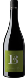 2025 Bauer Sauvignon Blanc Nussdorf