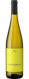 2025 Erste+Neue Sauvignon Blanc