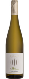 2025 Moriz Pinot Bianco