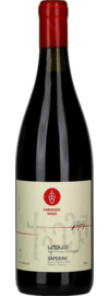 Babunidze Wines Saperavi
