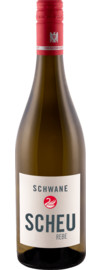 2024 Schwane Scheurebe