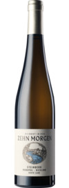 2022 Steinberg Monopol Riesling Bio
