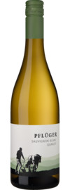 2025 Pflüger Sauvignon Blanc vom Quarzit