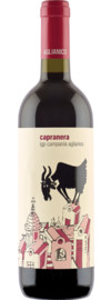 2023 San Salvatore Capranera Aglianico