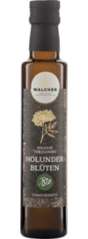 Walcher Condimento Balsam Holunderblüten