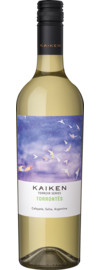 2024 Kaiken Terroir Series Torrontés