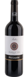 2022 Pio Cesare Fides Barbera d'Alba