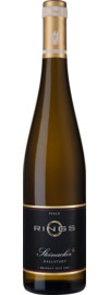 2025 Kallstadt Steinacker Riesling Erste Lage