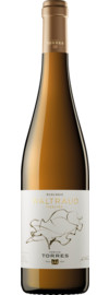 2025 Waltraud Riesling Bio