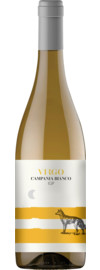 2025 Virgo Campania Bianco