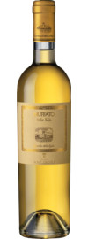 2024 Muffato della Sala