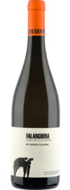 2025 San Salvatore Falanghina Bianco