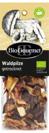 Waldpilze getrocknet