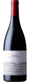 2022 Telmo Rodriguez Pegaso Barrancos de Pizarra