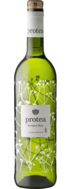 2025 Anthonij Rupert Protea Sauvignon Blanc