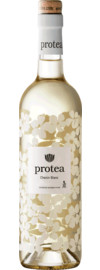 2025 Anthonij Rupert Protea Chenin Blanc