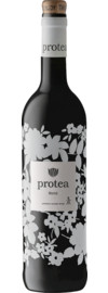 2023 Anthonij Rupert Protea Merlot