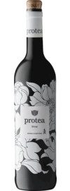 2024 Anthonij Rupert Protea Shiraz