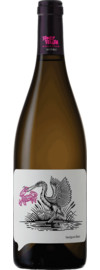 2025 La Vierge Story Teller Sauvignon Blanc