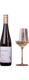 2025 Barbara Öhlzelt Ried Heiligenstein Riesling