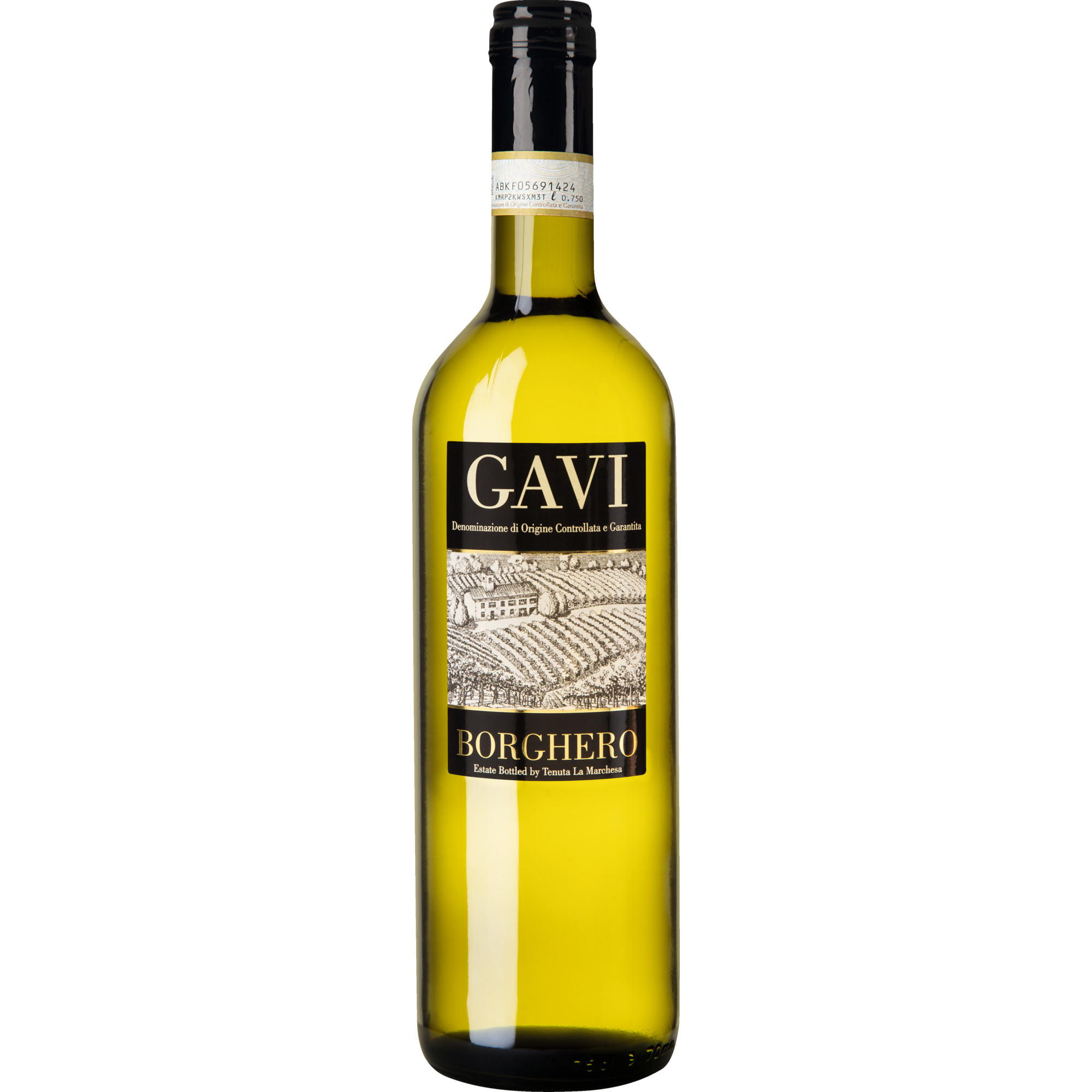 Gavi Borghero, Gavi DOCG, Piemont, 2020, Weißwein  Weißwein Hawesko